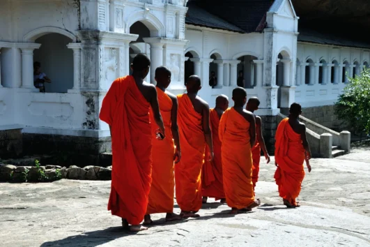 SRI LANKA CLASSICO scaled