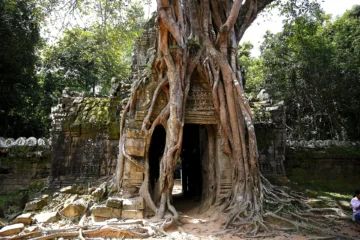 Ta Prohm 1