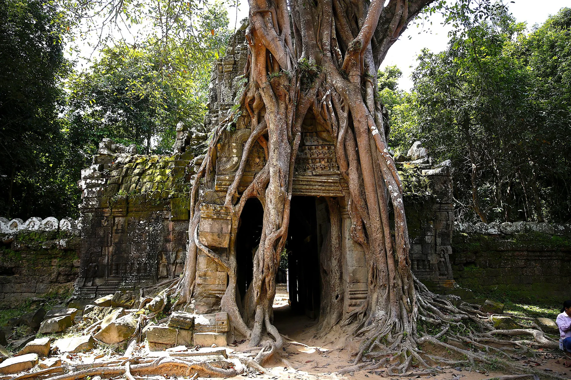 Ta Prohm 1