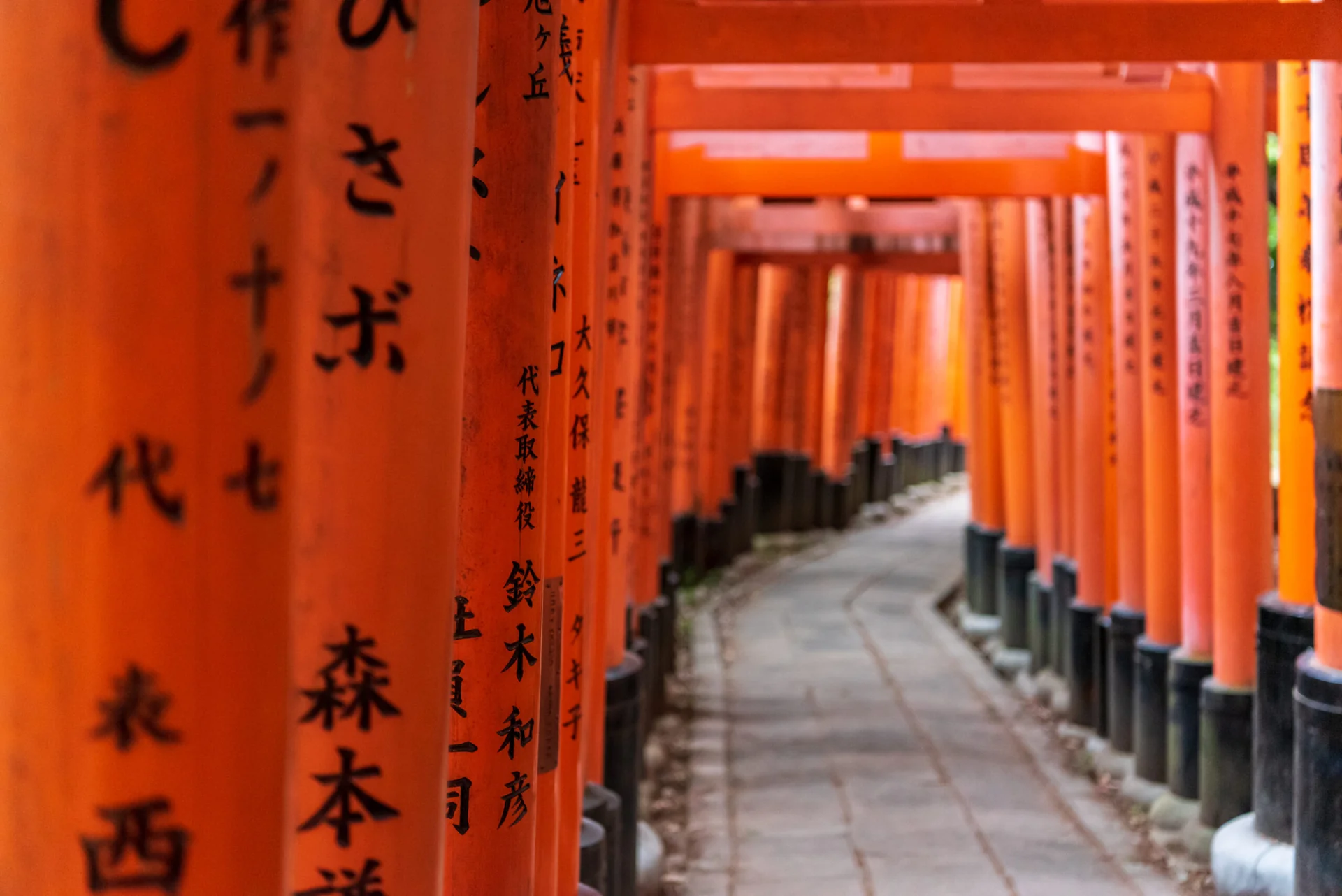 Fushimi Inari scaled