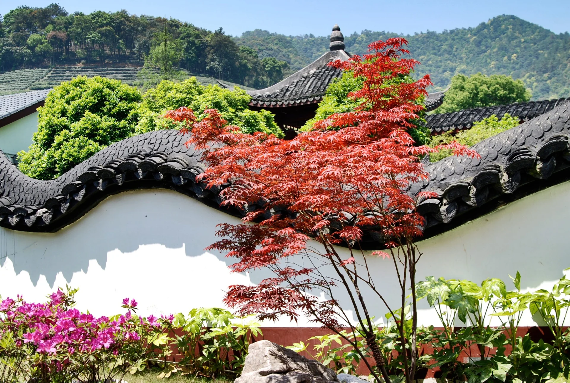 CINA generica scaled